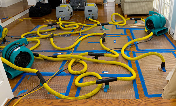 Professional Structural Drying And Dehumidification technician working in Wyoming, MI